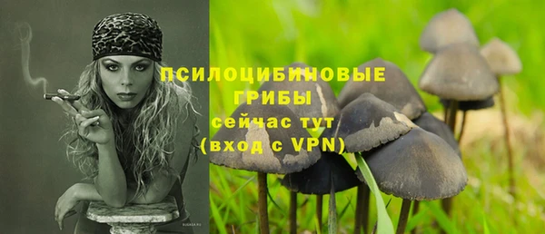 mix Арсеньев