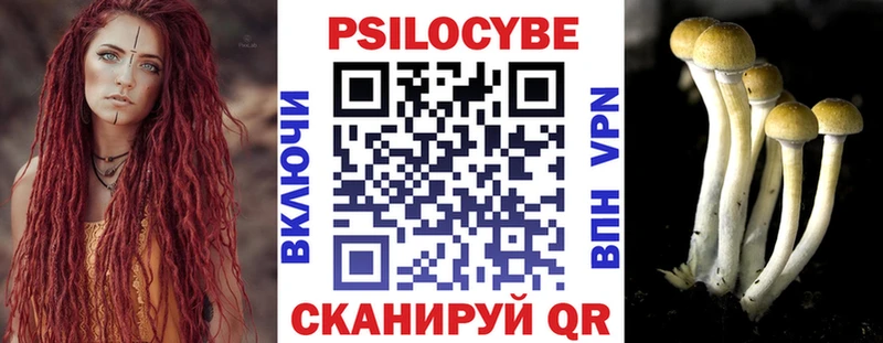 Галлюциногенные грибы мицелий  даркнет телеграм  Краснокаменск 